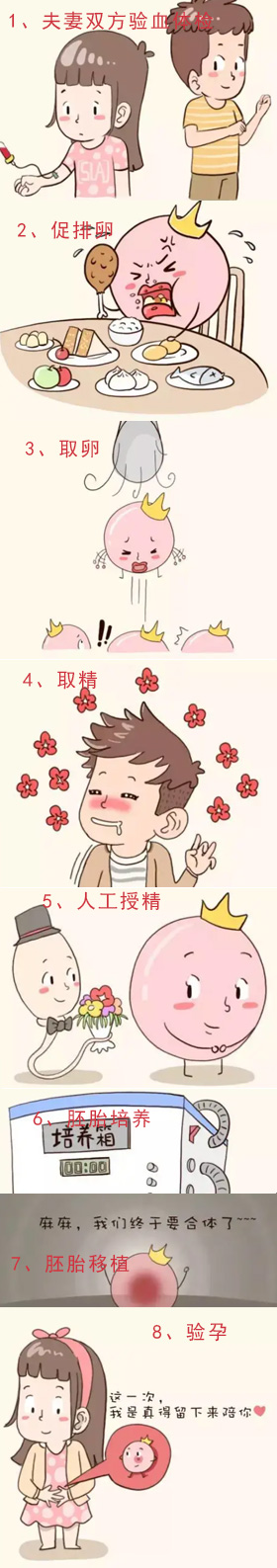 試管流程圖